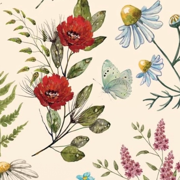 Meet your Posher, Karolina - Picture 1 of 1